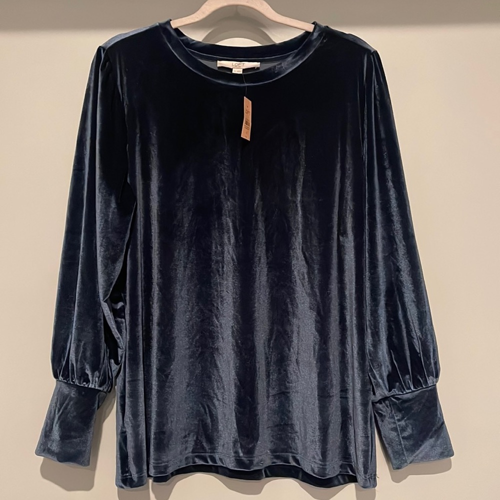 Loft Plus Blue Velvet Long Cuff Sleeve Top
